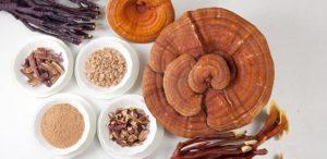 Effetti collaterali del Ganoderma Lucidum