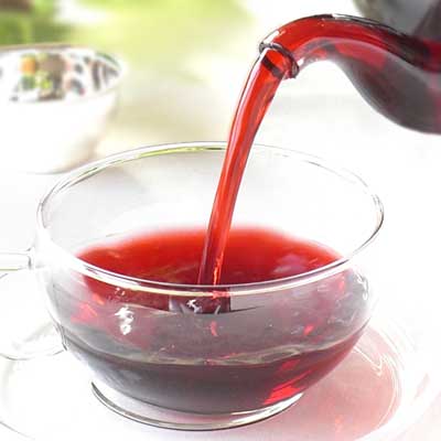 The Rosso Rooibos