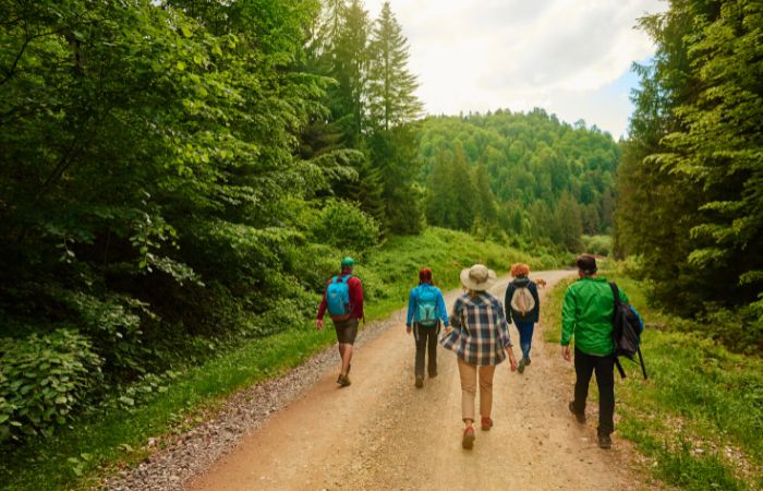 Camminare Nella Natura Benefici Fisici E Mentali Curarsi Al Naturale Cure E Rimedi Naturali 2735